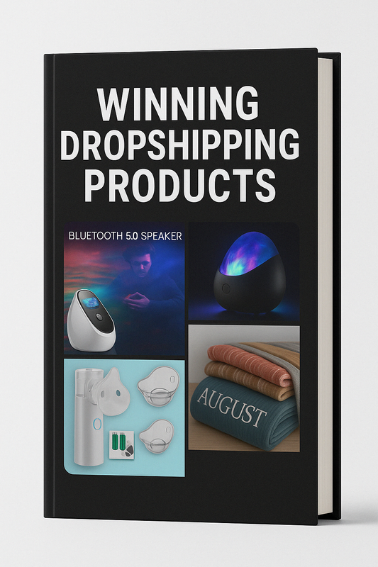 The 2025 Guide to Winning Dropshipping Products